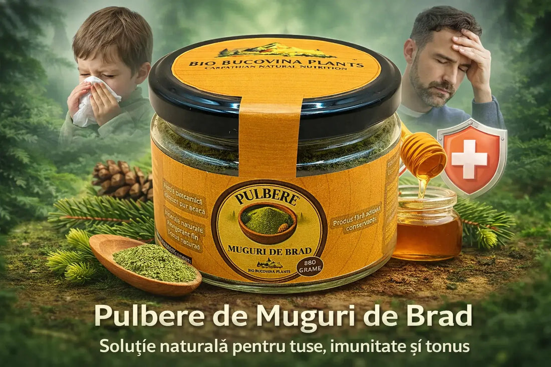 5 Probleme Comune Rezolvate cu Pulbere de Muguri de Brad